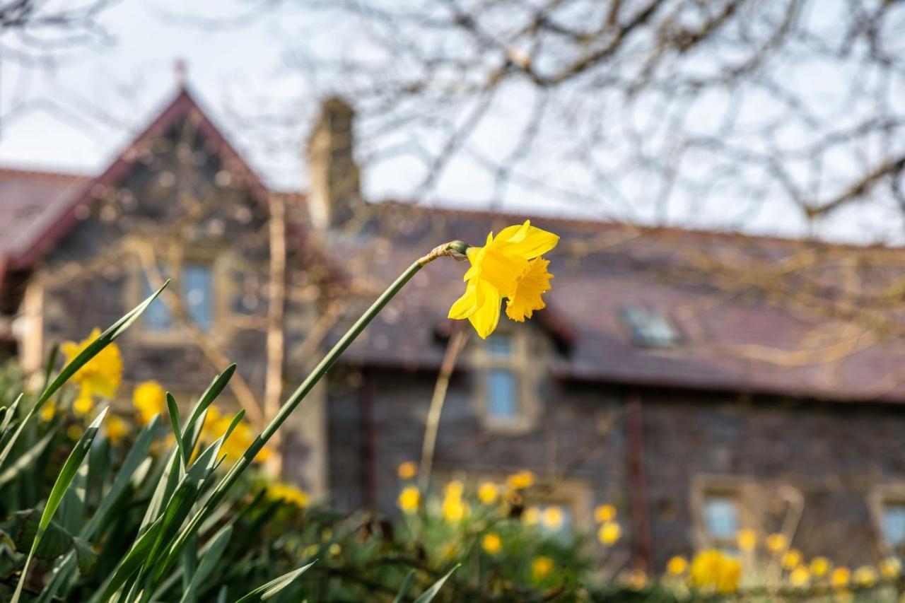 Penrhiw Priory Vendégház St. Davids  Kültér fotó