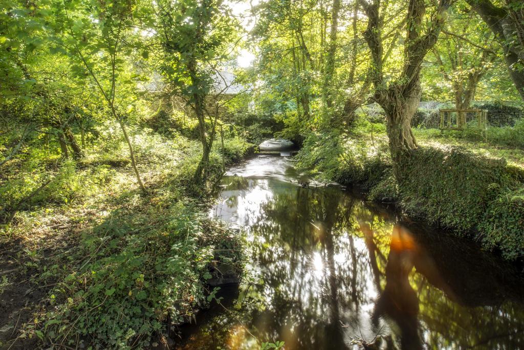 Penrhiw Priory Vendégház St. Davids  Kültér fotó